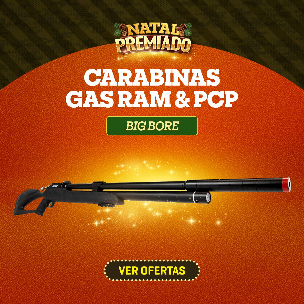 CARABINAS GAS RAM & PCP - BIG BORE