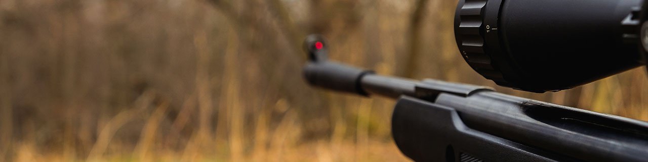 Qual a melhor carabina de pressão gás ram?