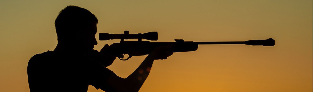 Qual a melhor carabina 5.5 gás ram?