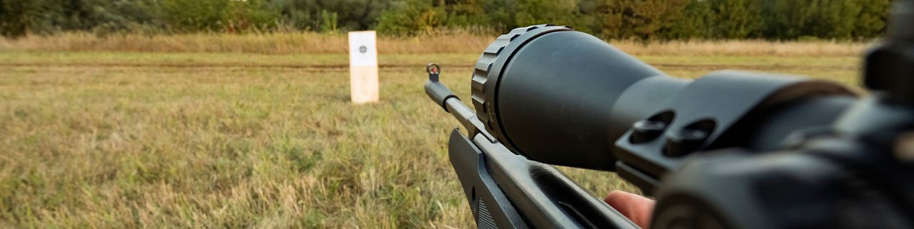 Entenda qual a melhor Carabina de Pressão PCP!