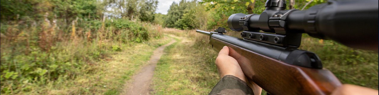 Guia para os primeiros tiros com sua nova carabina de pressão!