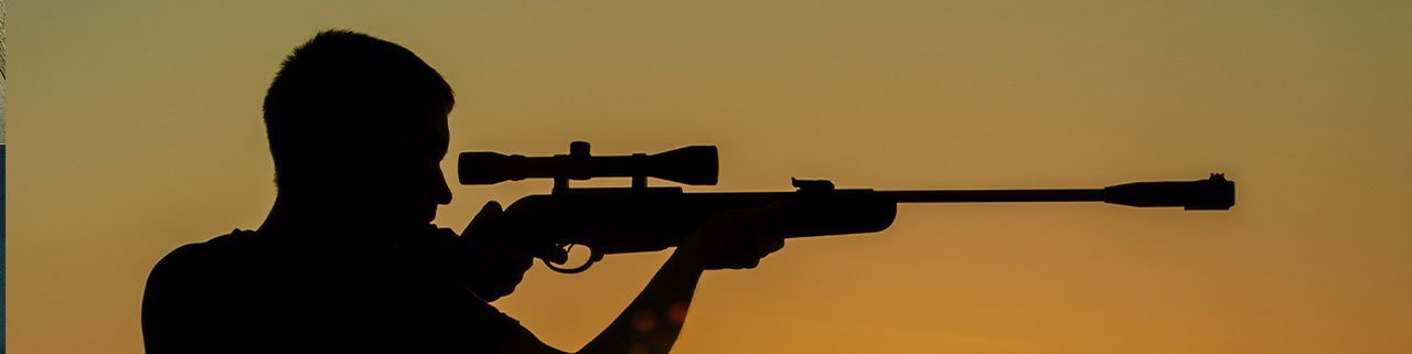 Descubra qual é a Carabina de Pressão mais silenciosa!