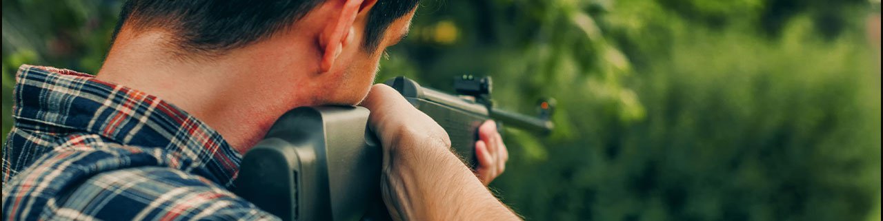 Carabina Spring: Qual a mais potente?