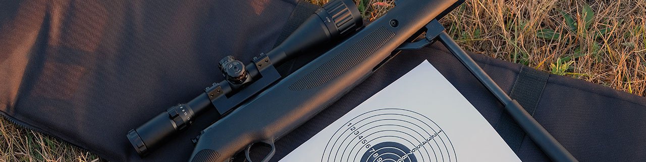 Qual a carabina de pressão 5.5 mais potente?