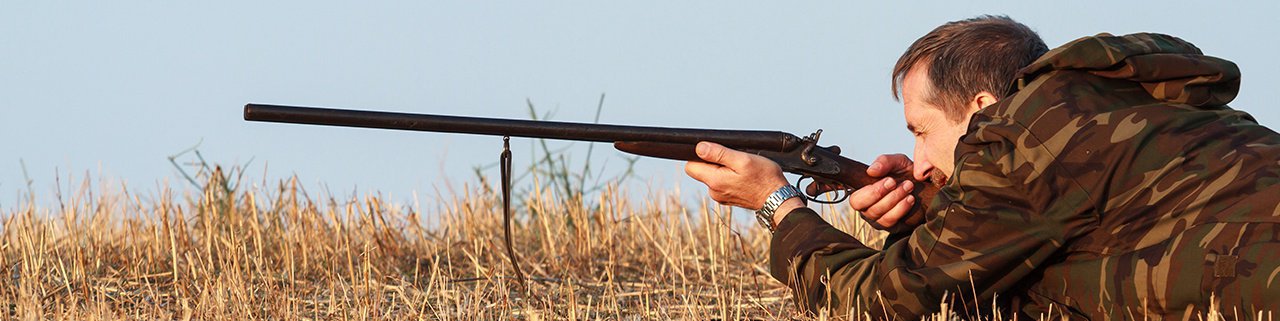 Qual a carabina de pressão mais precisa?