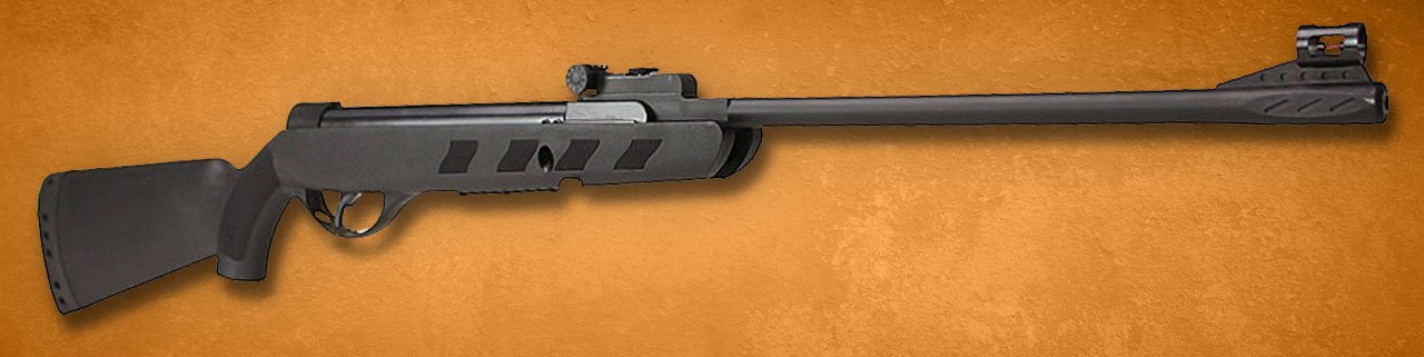 Carabinas TAG são boas?