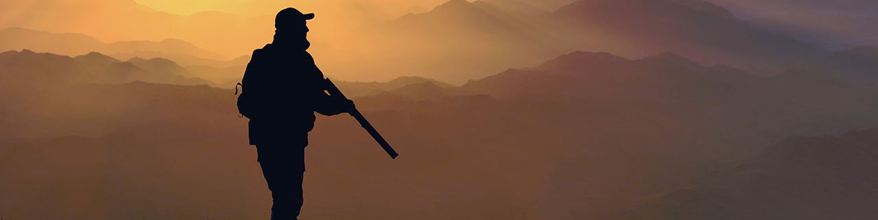 Diferença entre carabina de pressão e arma de fogo