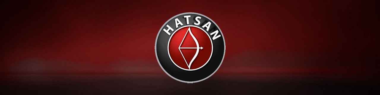 Qual a melhor Carabina de Pressão Hatsan?