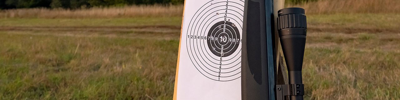 Modelos de arma de pressão: Conheça os diferentes tipos!