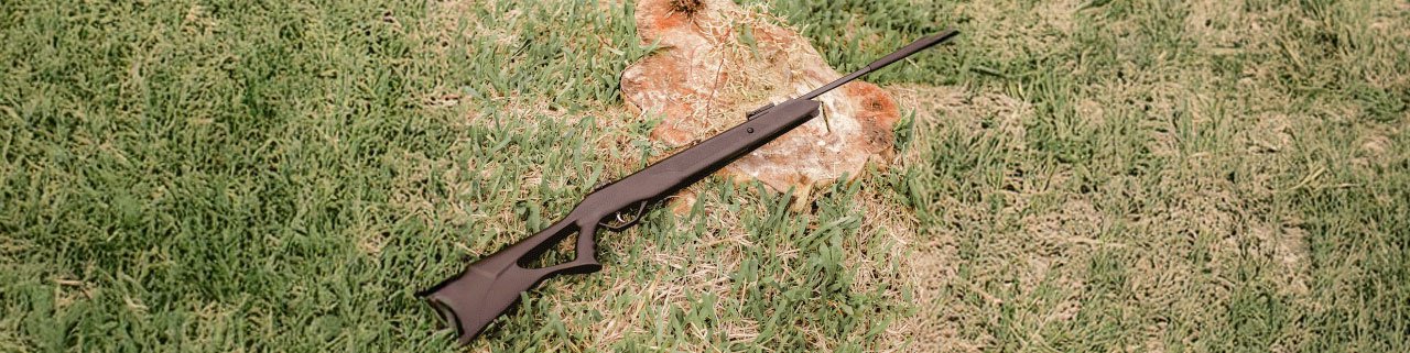 Review atualizado da carabina de pressão Sag R1000