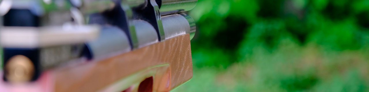 3 vantagens e desvantagens das carabinas Bullpup