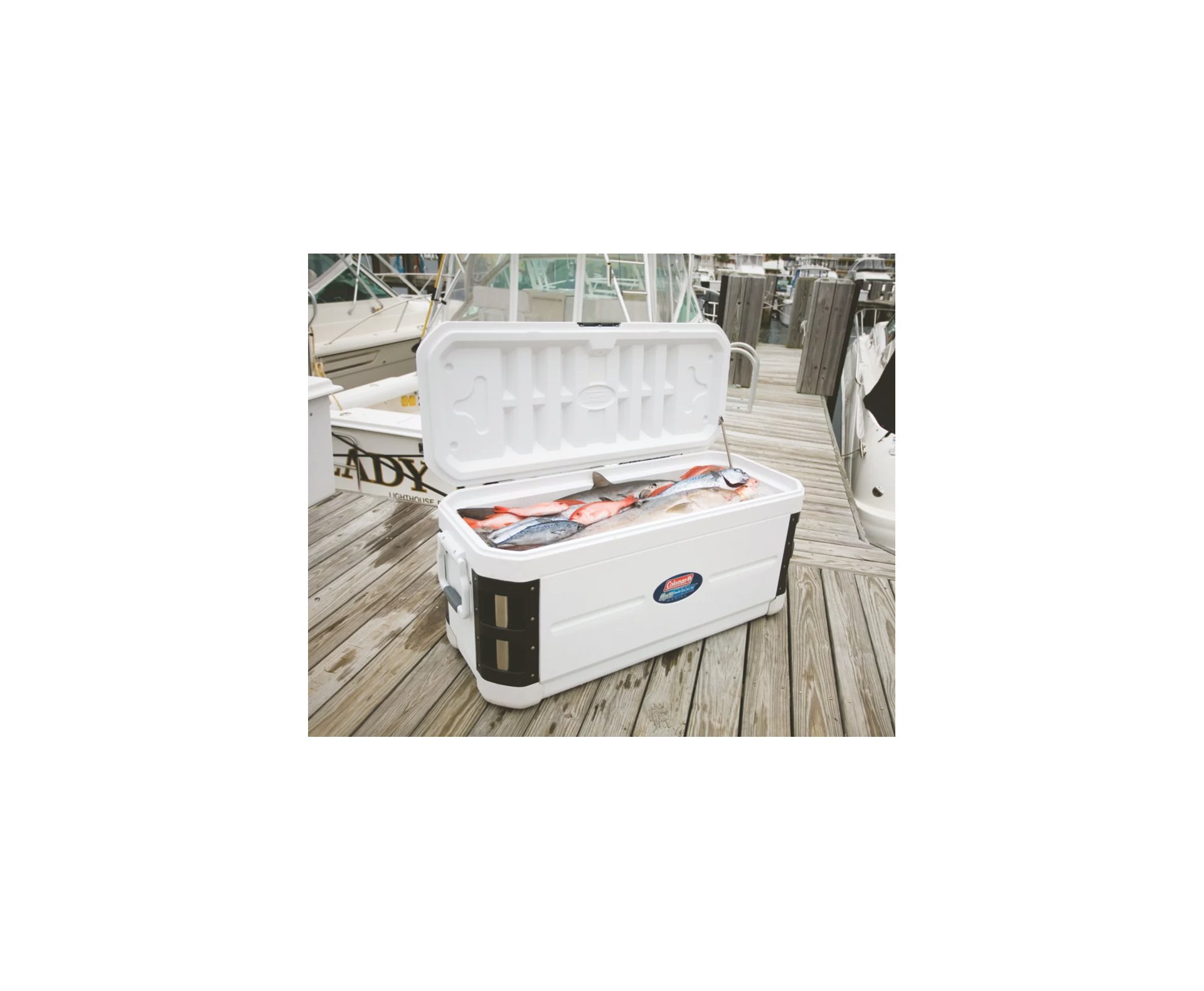 Rec Term Off Shore 200 QT - Marine - Limited  - Coleman