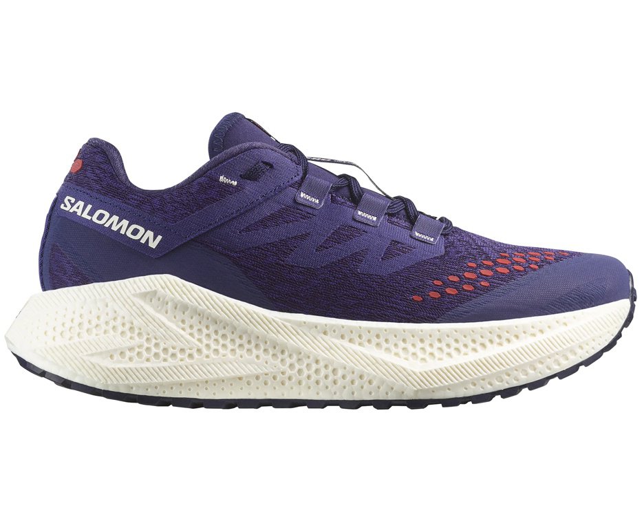 Tenis Salomon Aero Glide 3 GRLV Masculino - ASTRAL/VANILA/HÁ