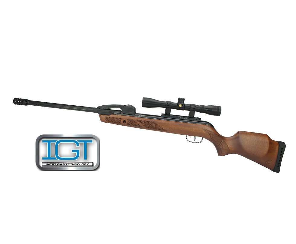 Carabina De Pressão Gamo Fast Shot 10x Tiros Igt Madeira 5,5mm Com Luneta 4x32 Wrh