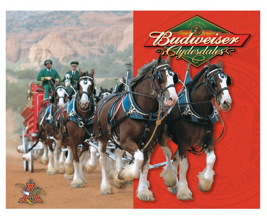 Placa Metálica Decorativa Budweiser Horse - Rossi