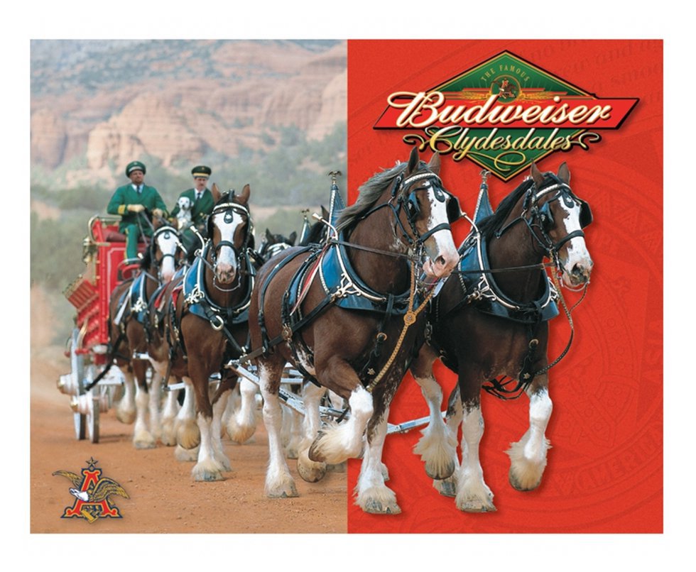 Placa Metálica Decorativa Budweiser Horse - Rossi