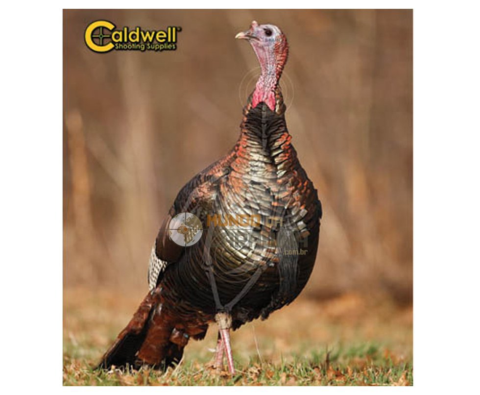 Alvo Caldwell - The Natural Series Turkey