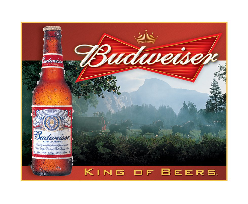 Placa Metálica Decorativa Budweiser King Of Beers - Rossi